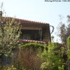 lauro2006_6